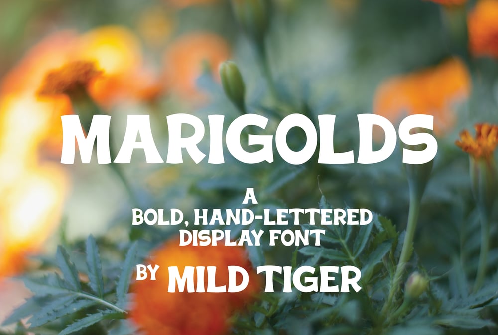 Image of MARIGOLDS Display Font + Specimen Print