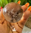 Capricorn Glass Sphere 