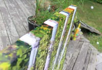 Image 2 of - Enjoying Summer -