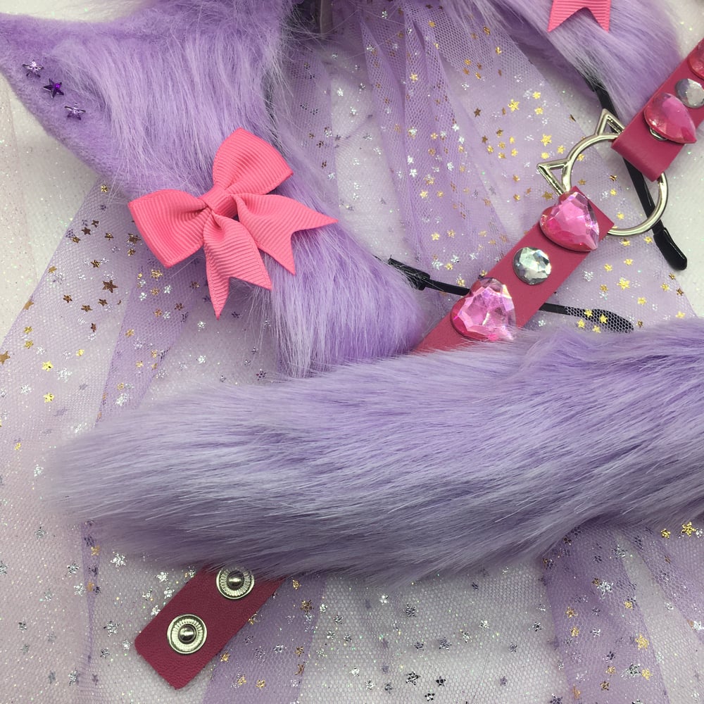 Purple/Pink Princess Kitten 