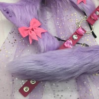 Image 2 of Purple/Pink Princess Kitten 