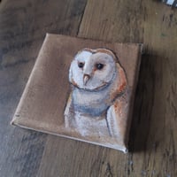 Image 2 of Barn Owl