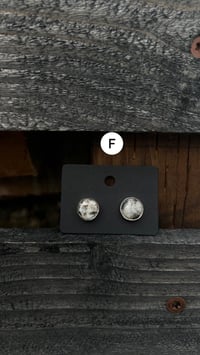 Image 6 of White buffalo post earrings