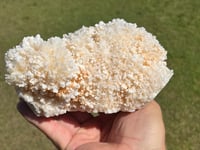 Image 11 of Aragonite On White Calcite Specimen #1243