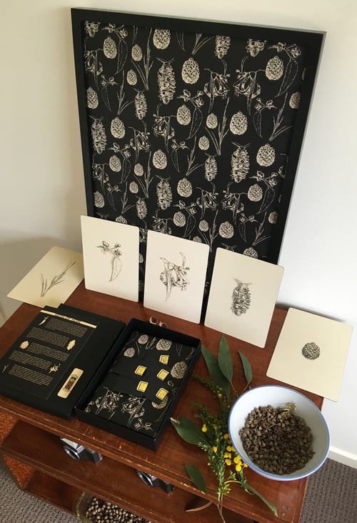 Image of Seeds of Hope