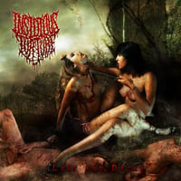 Insidious torture-lust and decay cd