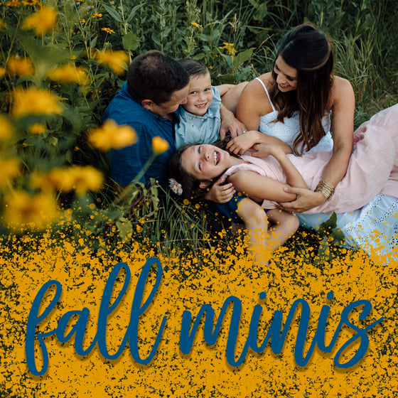 Image of Fall Mini Sessions 2024