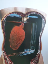Image 4 of 'What The Heart Wants' Framed