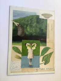 Image 4 of Nature Study