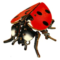 Image 1 of JCR ARTHROPODA : LADYBUG