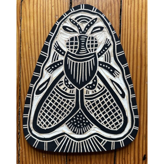 Image of Basket Wing Fly