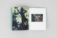 Image 2 of Mato Grosso / Raquel Bravo