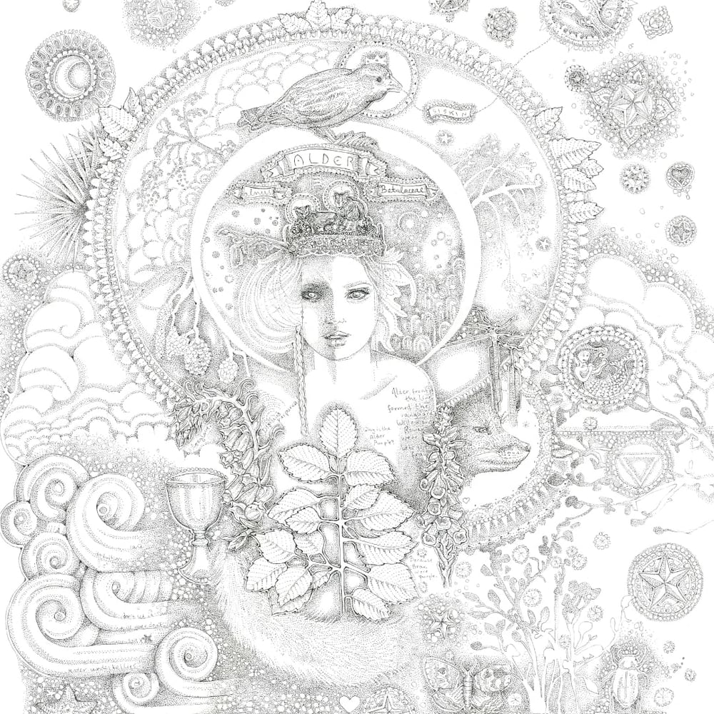 Image of Celtic Tree Colouring Book/Collection of 13 Prints