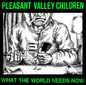 PLEASANT VALLEY CHILDREN - 'WELCOME TO BEDLAM VALLEY'  CD
