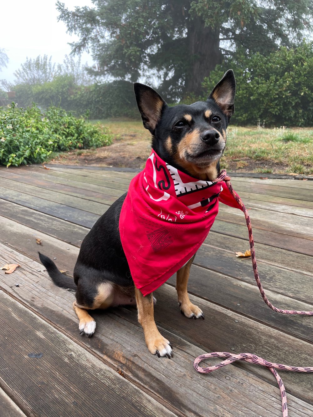 Girls Garage Bandana