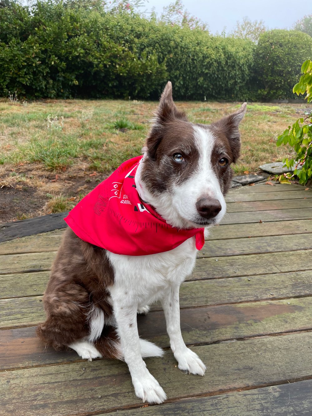 Girls Garage Bandana