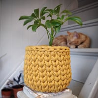 Image 1 of Pot Cosy