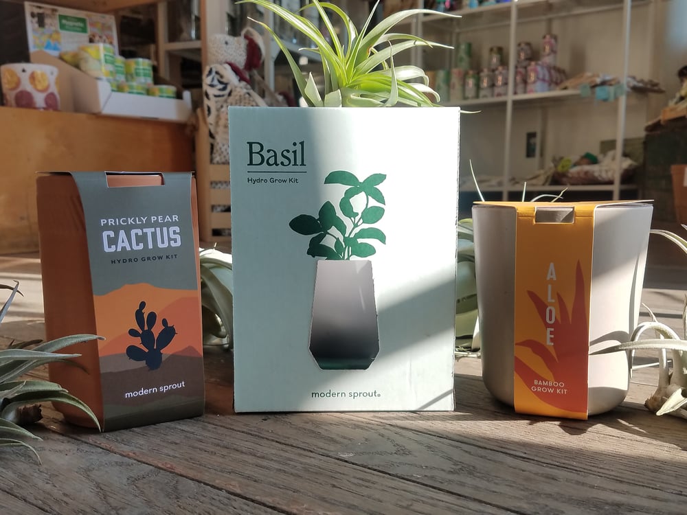 Image of Grow Kits from Modern Sprout
