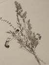 Bouquet 06 - A4 - Original Botanical Monoprint