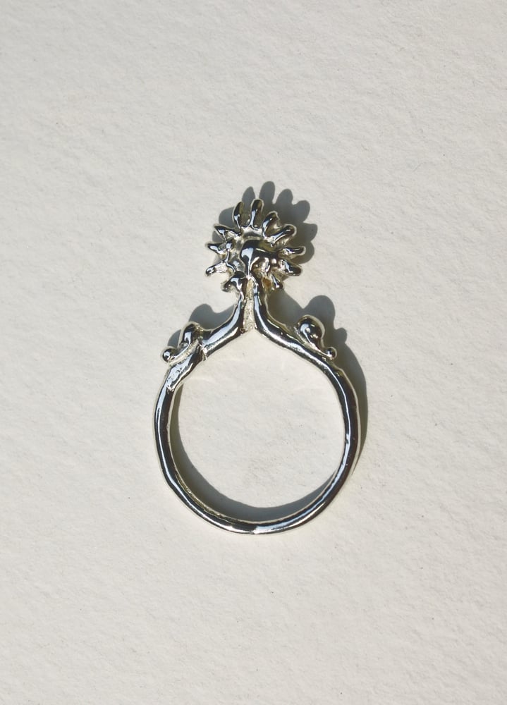Image of Phoebus Ring