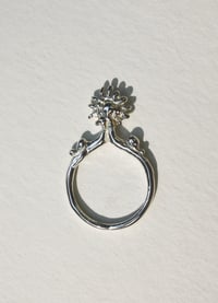 Image 1 of Phoebus Ring