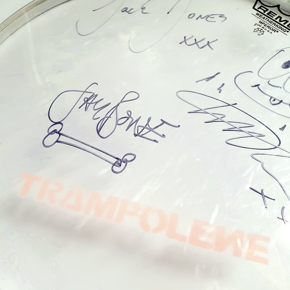 Image of Signed drum head with TRAMPOLENE logo