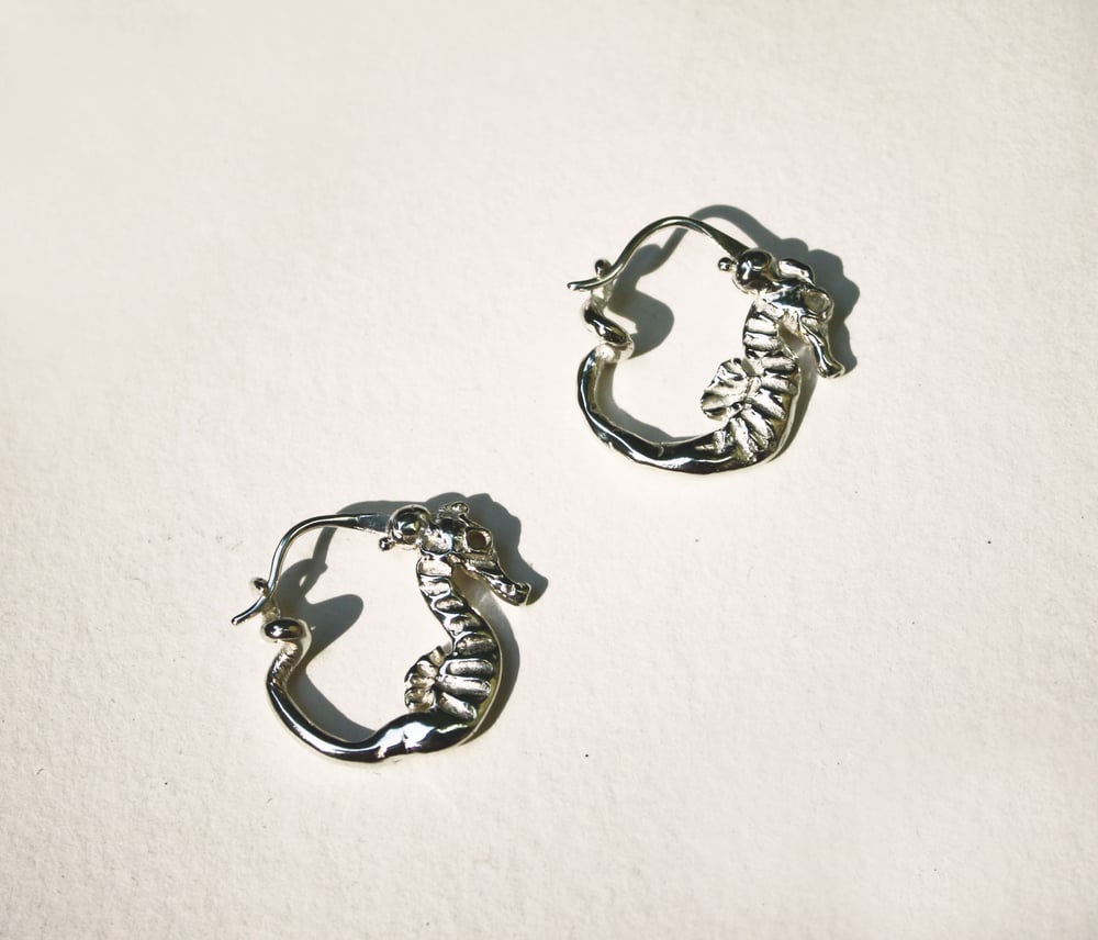 Image of Seahorse Hoops