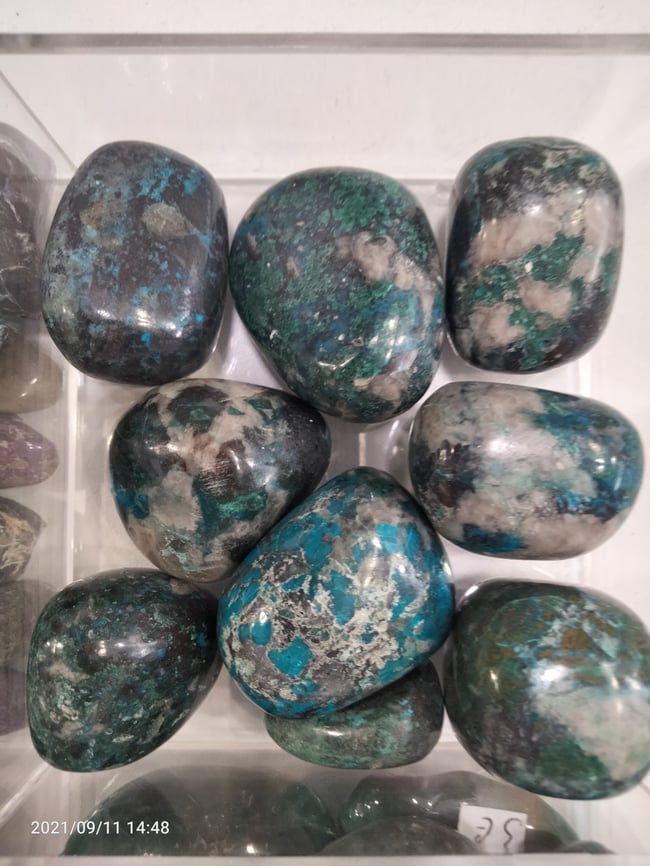 Chrysocolle