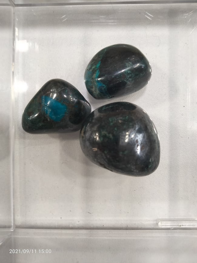 Galene chrysocolle