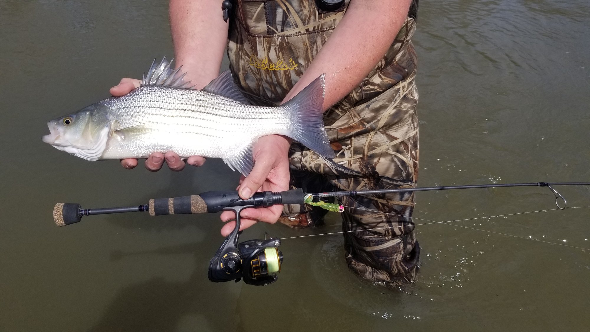 Custom Ultra Light Spinning rod Deposit | Fish 365 Custom Rods