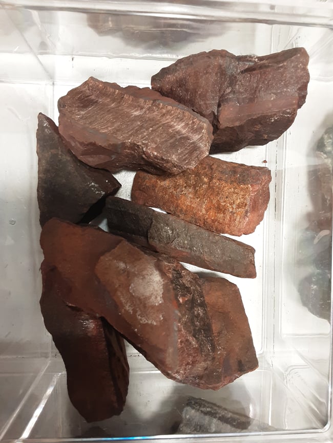 Œil de taureau Brute