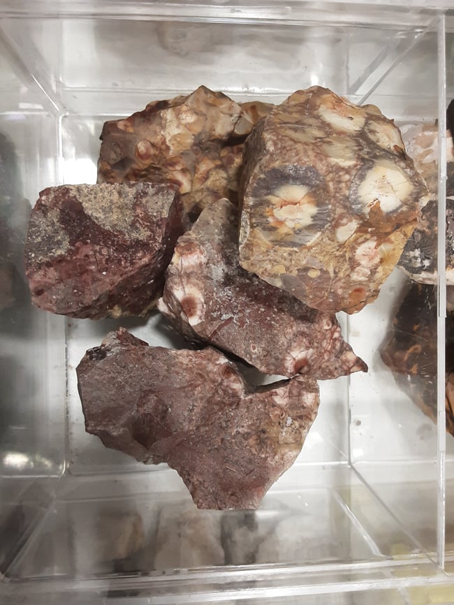 Jaspe léopard Brute