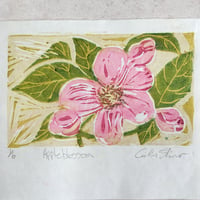 Apple Blossom - Woodcut Print