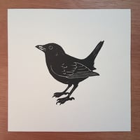 Image 1 of Blackbird