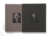 Image 2 of Seas Without A Shore Limited Edition with Slipcase