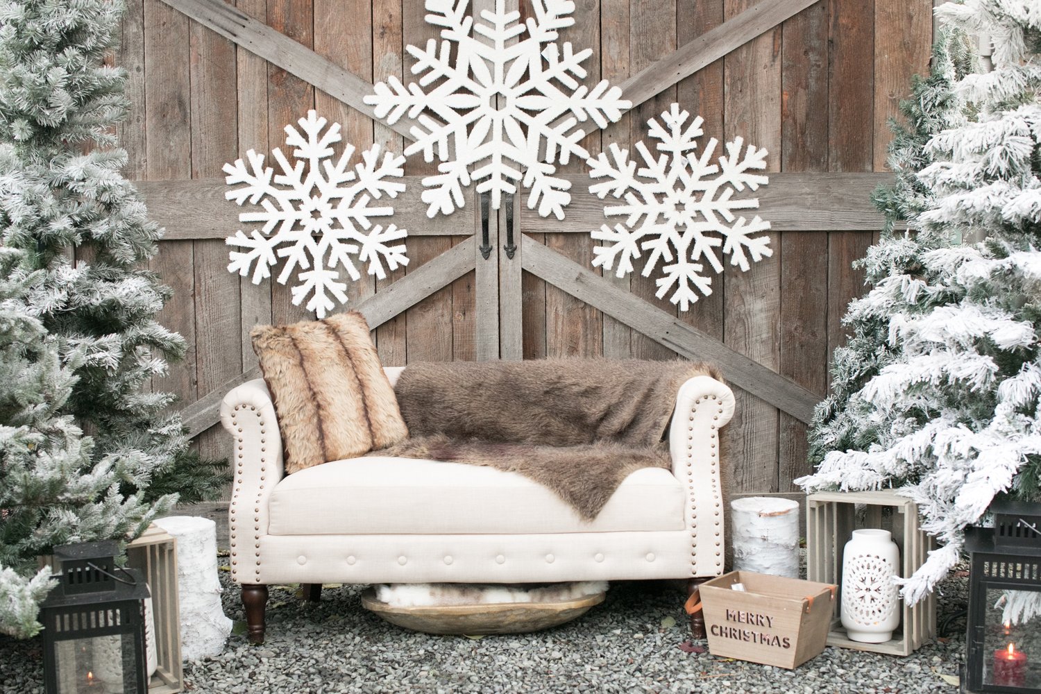 Image of Holiday Portraits