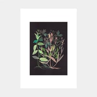 Image 2 of Millefeuille #1