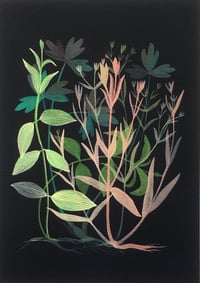 Image 1 of Millefeuille #1