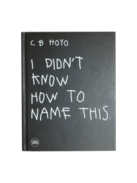 Image of CB Hoyo's Book: "I Didn't Know How To Name This"