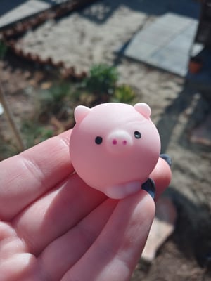 Image of Pig Squishy