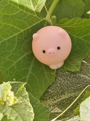 Image of Pig Squishy