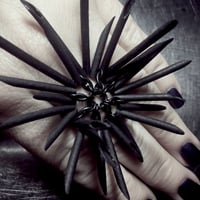 Image 3 of BLACK URCHIN | Black Urchin Ring