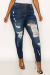 PLUS HIGHRISE CURVY SKINNY JEANS