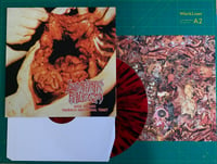 Image 4 of LYMPHATIC PHLEGM / NEURO-VISCERAL EXHUMATION ‎– LP Split