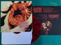 Image 5 of LYMPHATIC PHLEGM / NEURO-VISCERAL EXHUMATION ‎– LP Split