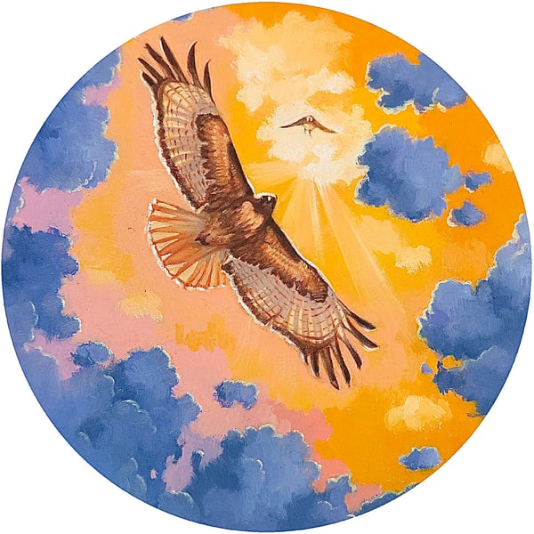 Image of Red Tailed Hawk - From Original Oil Painting