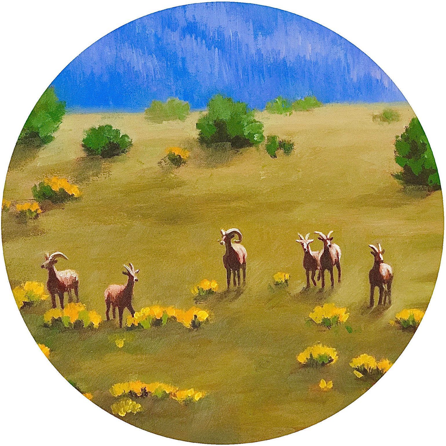 Image of Arizona Bighorns - From Original Oil Painting