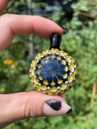 Image 1 of queen bee