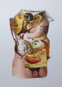 Image 1 of 'Pickling'