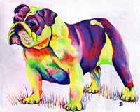 Image 1 of Rainbow English Bulldog Print